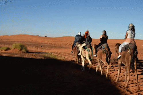 Marocco Saydy Rafael Journey GIF - Marocco Saydy Rafael Journey In The Desert GIFs