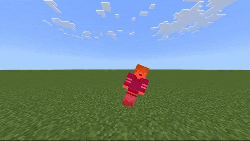 a minecraft screenshot shows a white object in the middle of the grass
