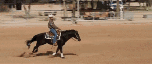 a man in a cowboy hat is riding a horse in a dirt field