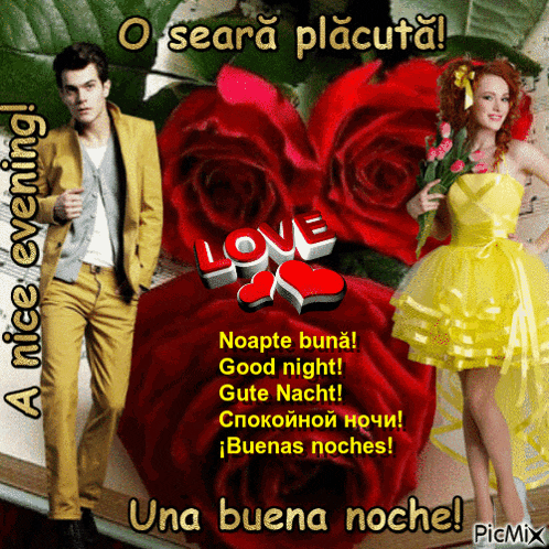 Seara GIF