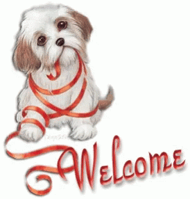 Welcome Dog GIF - Welcome Dog GIFs