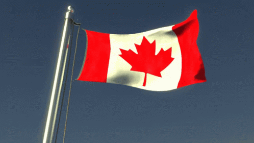 Canada Flag GIF - Canada Flag Flag Waver GIFs