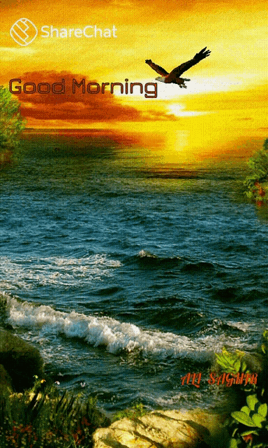 a picture of a sunset over a body of water with the words good morning on it