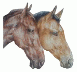 Horses Head GIF - Horses Head Nod GIFs
