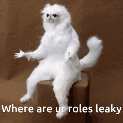 a white cat is sitting on a box with the words where are ur roles leaky