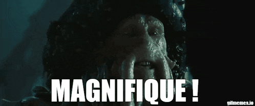 an animated image of a squid with the words magnifique written below it