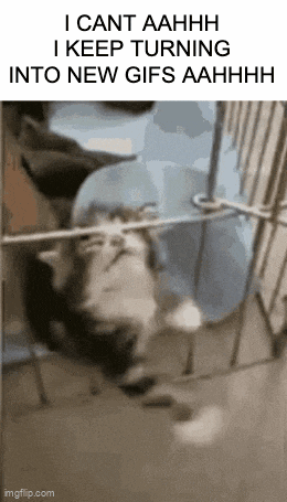 a picture of a cat in a cage with the caption i cant aahhh