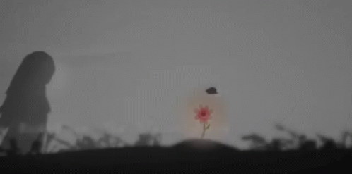 Walking Passing By GIF - Walking Passing By Flower GIFs