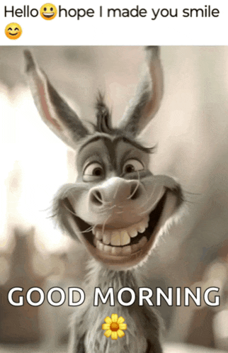 a picture of a donkey with a flower and the words good morning