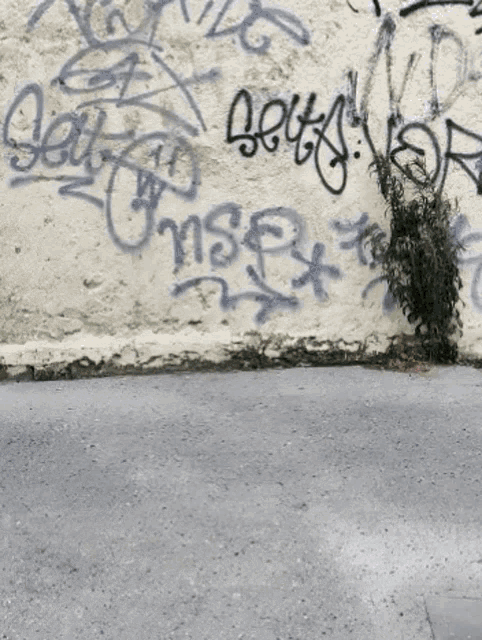 a white wall with graffiti on it including the word jesus on it