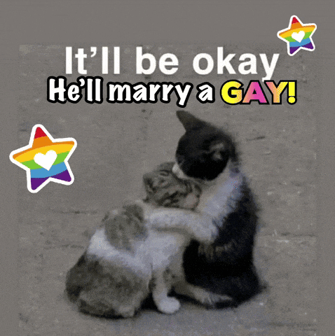 two cats hugging each other with the words it 'll be okay he 'll marry a gay behind them