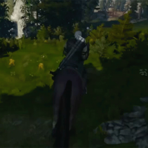 Horse Riding The Witcher GIF - Horse Riding The Witcher The Witcher3wild Hunt GIFs