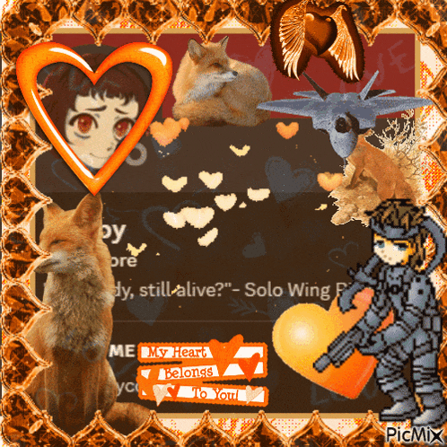 a picture of a boy and a fox with the words " solo wing " on the bottom