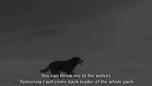 Kill Me Wolf GIF - Kill Me Wolf Leader Of The Pack GIFs