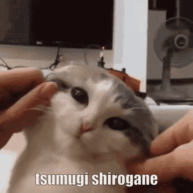 Tsumugi Shirogane GIF - Tsumugi Shirogane Tsumugi Shirogane GIFs