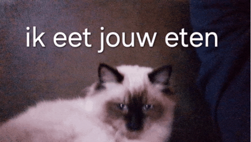 a picture of a cat and the words ik eet jouw eten