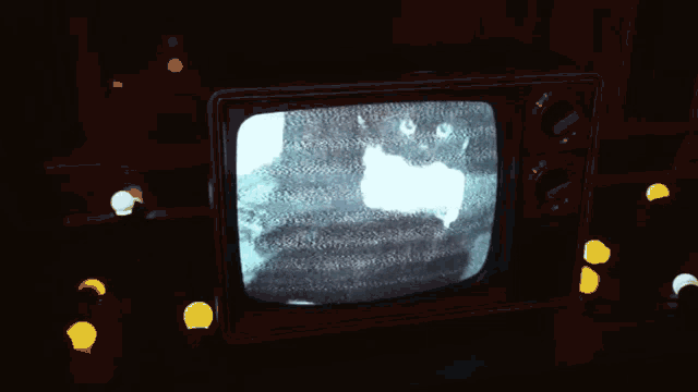 a black and white tv with a picture of a cat on it