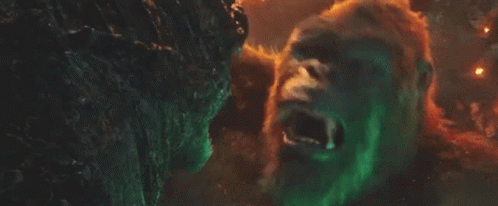 King Kong Godzilla GIF - King Kong Godzilla Rawr GIFs