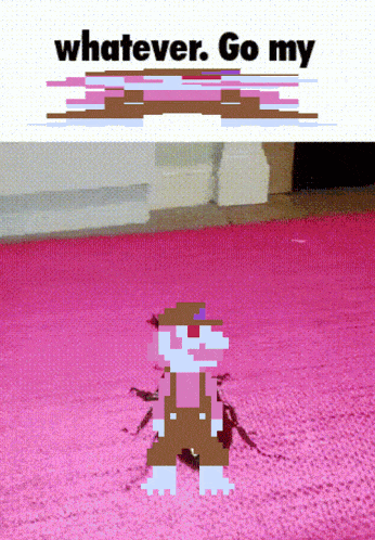 a picture of a pixelated character with the words " whatever go my " above him