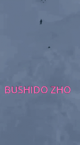 Bushido Zho GIF - Bushido Zho GIFs