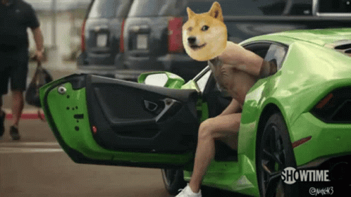 Doge Cage GIF - Doge Cage GIFs