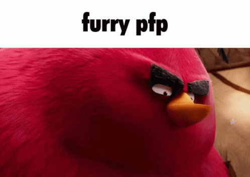 Furry Pfp GIF - Furry Pfp GIFs