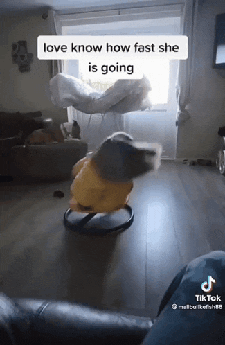 a tiktok video shows a person sitting in a chair with the caption " love know how fast she is going "