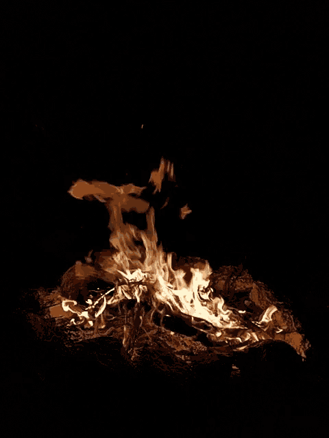 a fire is burning in the dark with a black sky in the background