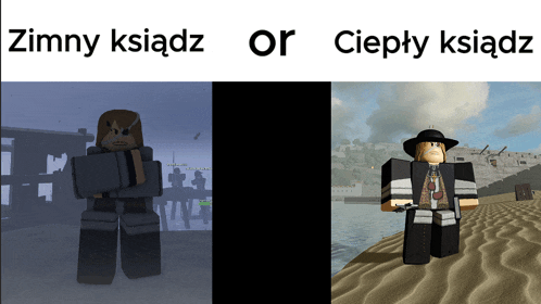 a screenshot of a video game with the words zimny ksiaz or cieply ksiaz at the top