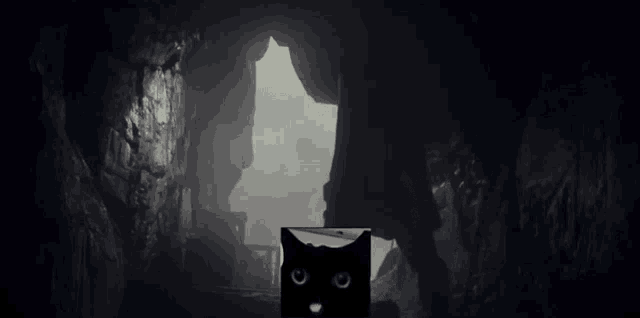 a black box with a cat 's face on it