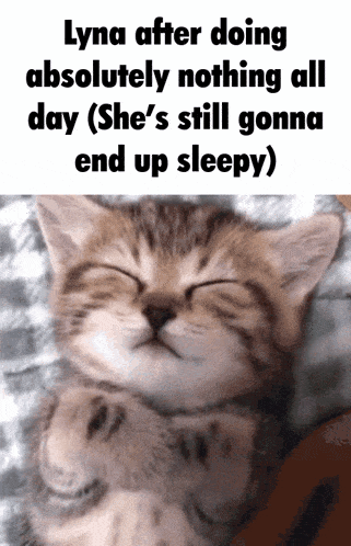 Coolshark Sleepy GIF - Coolshark Sleepy Cat GIFs