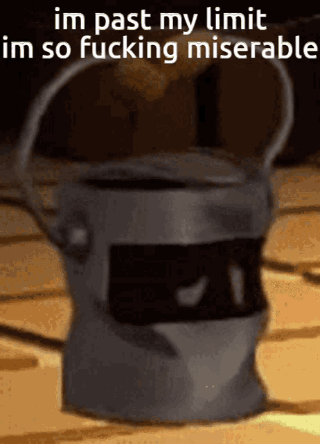 a bucket with the words im past my limit im so fucking miserable