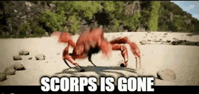 Scorps Is Gone GIF - Scorps Is Gone GIFs