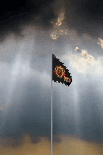 a flag with the word bbq on it is flying in the wind