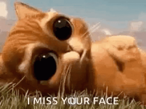Puss In Boots Cute Cat GIF - Puss In Boots Cute Cat Cute Eyes GIFs