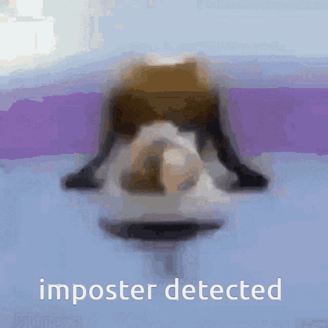 Imposter Detected GIF - Imposter Detected GIFs