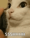 a close up of a cat 's face with the word ssshhh written on it .