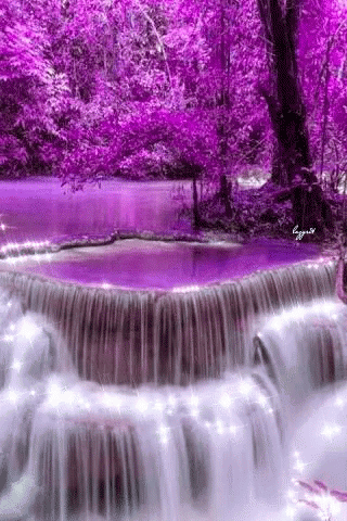 Mystical Forest GIF - Mystical Forest Violet GIFs