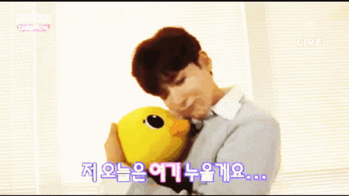 Ryeowook Fluffy Ryeowook Cute GIF - Ryeowook Fluffy Ryeowook Cute Ryeowook Plushy GIFs
