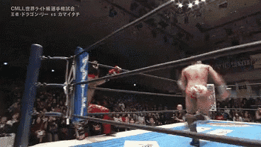 a man in a wrestling ring with chinese writing on the bottom