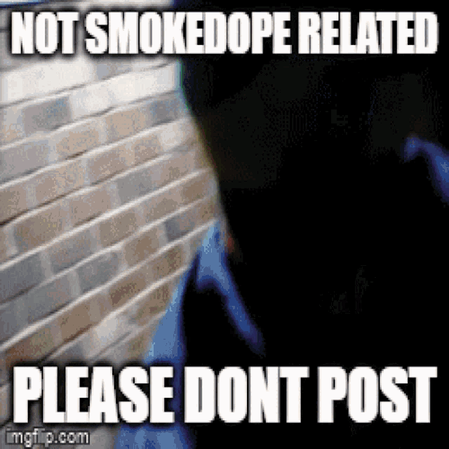 Sd2k16 Smokedope GIF - Sd2k16 Smokedope Smokedope2016 GIFs