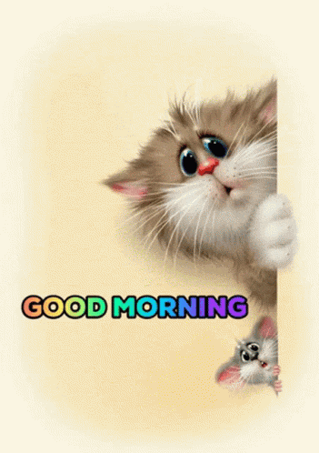 two kittens peeking over a wall with the words good morning written below them