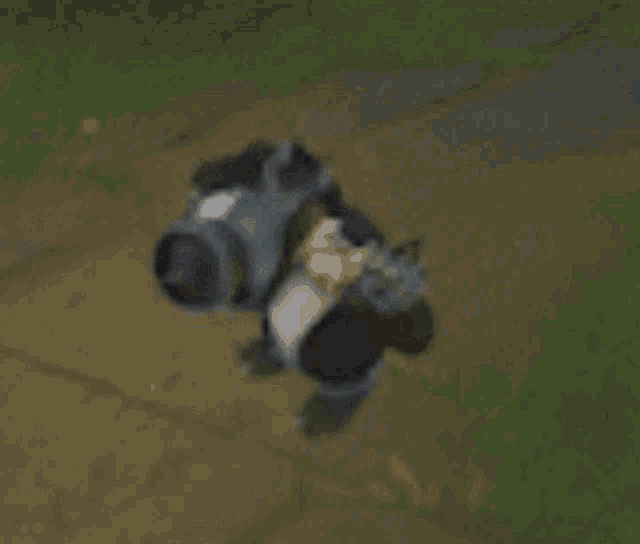 a blurry picture of a person standing on a dirt path