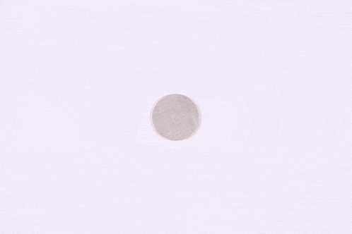 a stainless steel disc is sitting on a white surface .