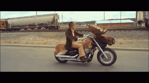 a man is riding a motorcycle with a moose head on it