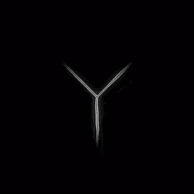 a black background with a glowing y and the words we are gays