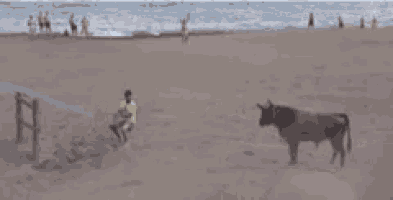 a blurry picture of people on a beach near the ocean