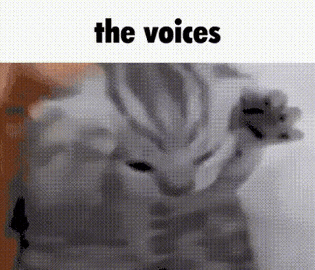 The Voices GIF - The Voices Cat GIFs