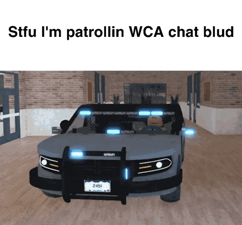 a picture of a police car with the words stfu i 'm patrollin wca chat blud