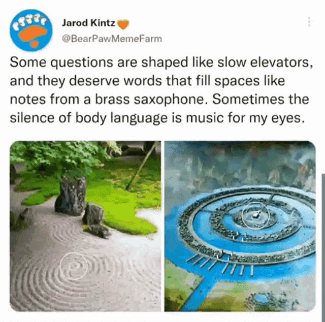some questions are shaped like slow elevators and they deserve words that fill spaces like notes from a brass saxophone .